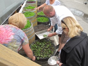 IMG_6863 Chef Darin Paterson, Bogner's garden