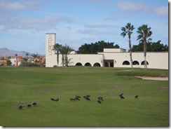 Loreto Bay Golf home hole Loreto Mexico RBuchanan photo