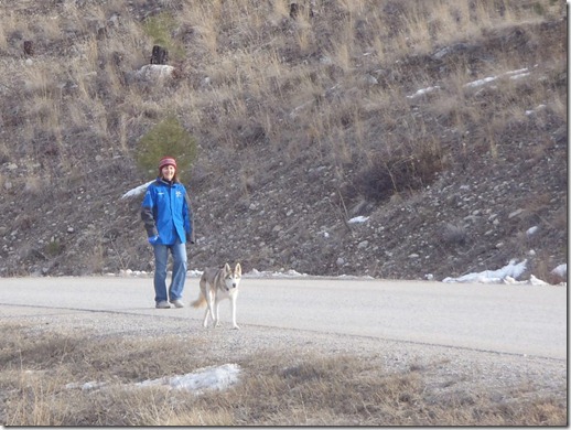 RBuchanan photo Neighbour Claire Festel and dog Yukon