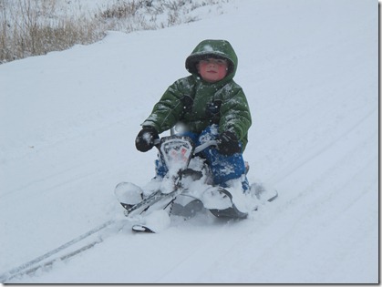 RBuchanan photo Neighbour Jordan gets a sleigh ride