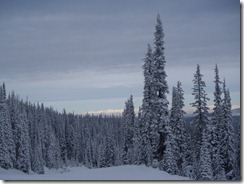 RBuchanan Sun Peaks Resort  P1180005