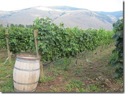 RBuchanan - Orofino IMG_8461