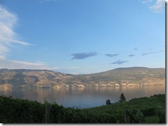 RBuchanan - Bonitas Winery IMG_8349