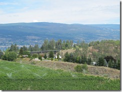 RBuchanan photo - Dirty Laundry IMG_8913