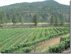 RBuchanan photo - Dirty Laundry IMG_8915