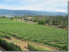 RBuchanan photo - Dirty Laundry IMG_8935