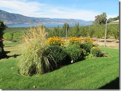 RBuchanan - Ruby Blues IMG_1455