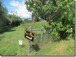RBuchanan - Vinegar Works at Valentine Farm IMG_7419