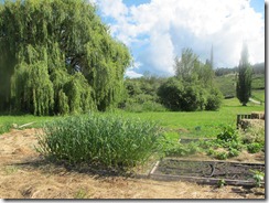 RBuchanan - Vinegar Works at Valentine Farm IMG_7458