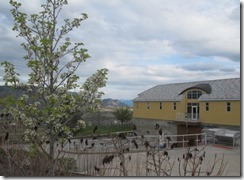 RBuchanan OOOysterFest Miradoro  IMG_4990