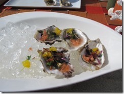 RBuchanan oysters Mica IMG_5123