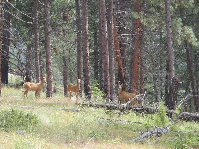 ??????????????????????