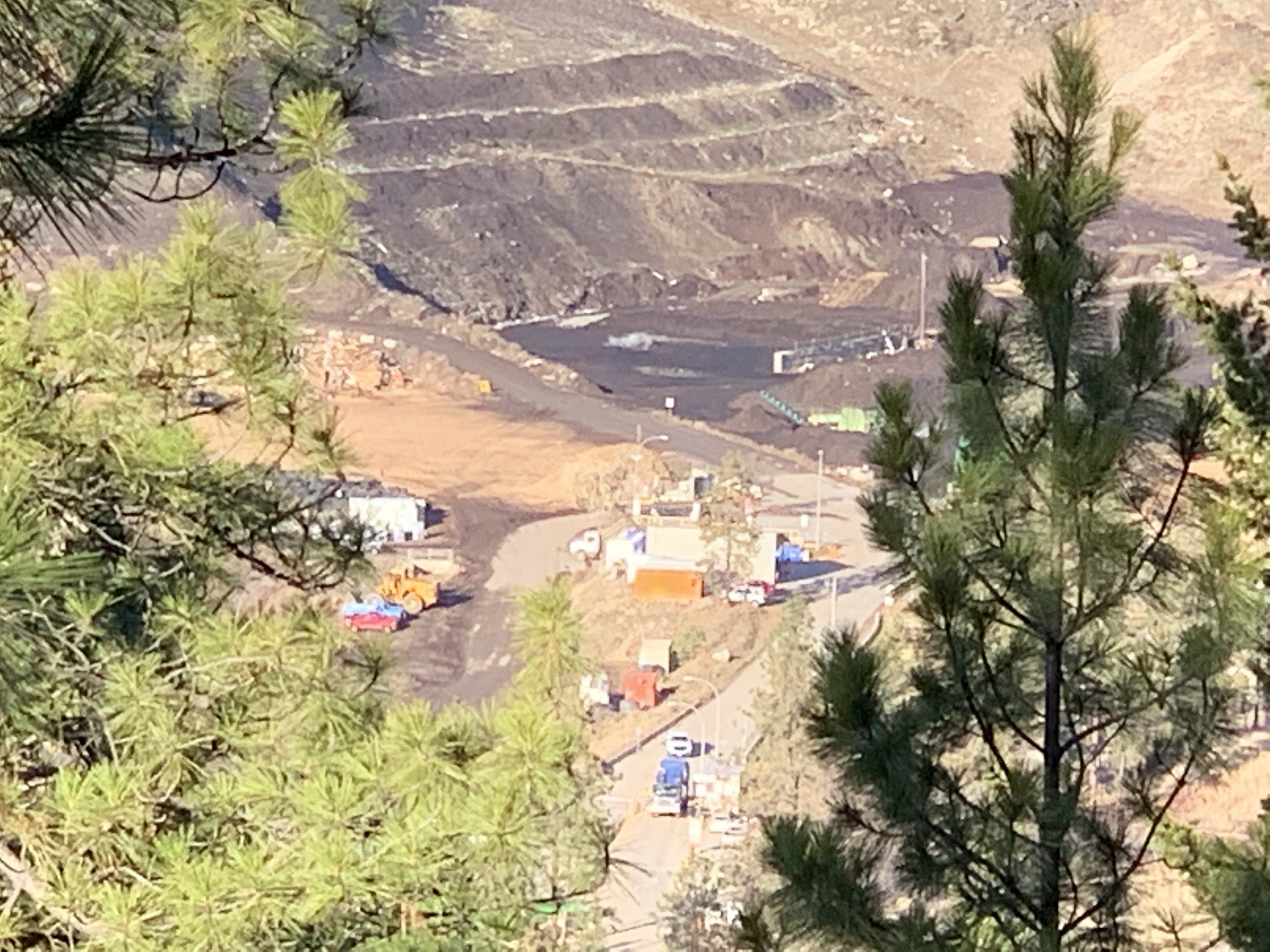 RBuchanan_CampbellMountainLandfill_4493